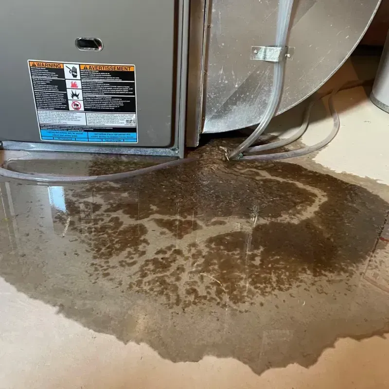 Appliance Leak Cleanup in Spartanburg, SC